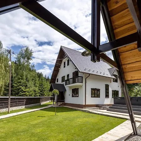 Tresor Voronet Villa